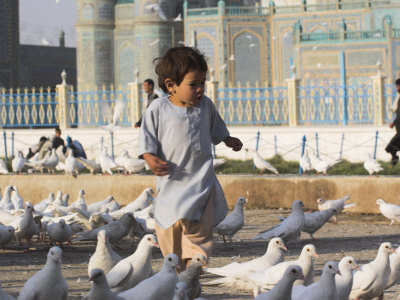 Child Chasing the Famous White Pigeons, Mazar-I-Sharif, Afghanistan