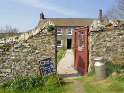 Cream Teas Sign Outside Cornish Farmhouse, Near Fowey, Cornwall, England, UK