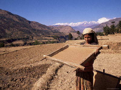 Lhokta Paper Being Soaked and Dried in Sun in Wooden Frame on a U.N. Funded Project, Nepal