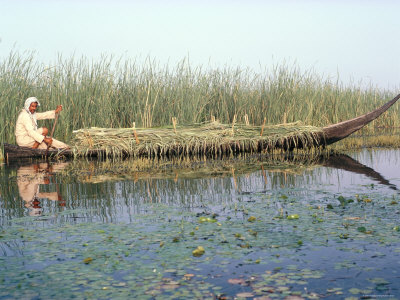 Man Gathering Reeds, Mashuf Boat, Marshes, Iraq, Middle East