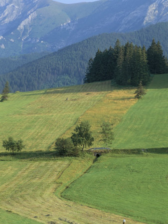 Farmland in the High Tatra Mountains Near Zdiar and Polish Border, Slovakia