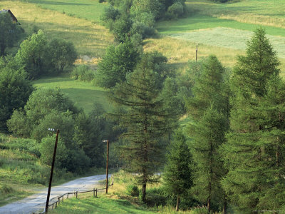 Lane Near the Polish Border, Near Zdiar, High Tatras, Slovakia
