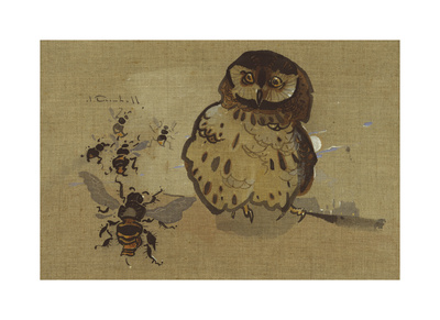 Owl And Bee