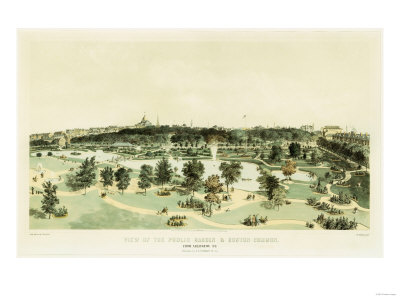 Buy View of the Public Gardens and Boston Common from Arlington Street, 1866 at AllPosters.com
