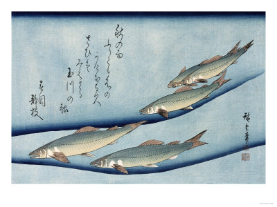 Rivertrout