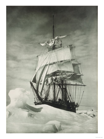 Buy Terra Nova Icebound, British Antarctic Expedition, Circa 1910 at AllPosters.com