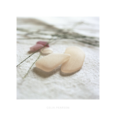 Pink Sea Glass
