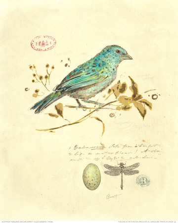 Buy Gilded Songbird I at AllPosters.com