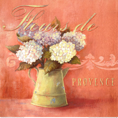 Fleurs de Provence