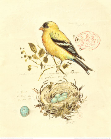 Buy Gilded Songbird II at AllPosters.com