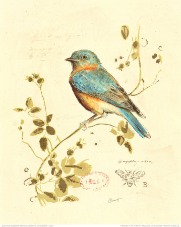 Gilded Songbird IV