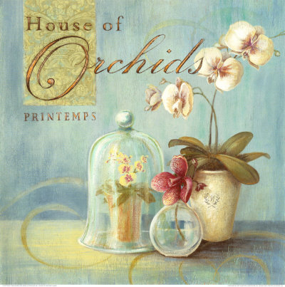 House of Orchids