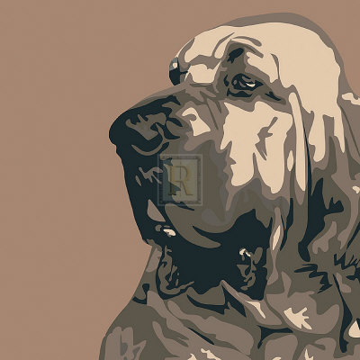 Bloodhound