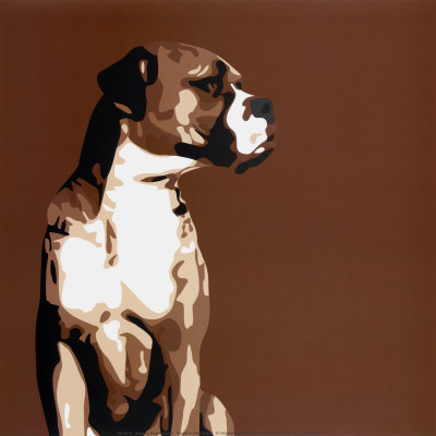 Boxer