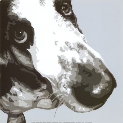 Bassett Hound