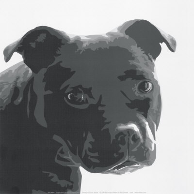 Staffordshire Bull