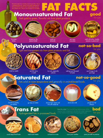 Fat Facts