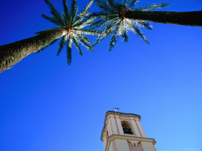 Palm Trees Framing Tower of Iglesia de San Miguel, Cordoba, Andalucia, Spain
