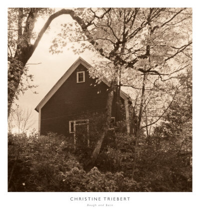 Buy Bough and Barn at AllPosters.com