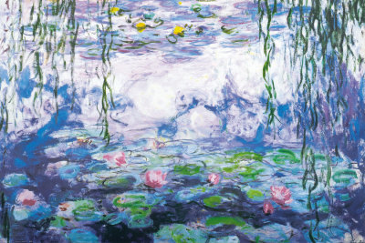Water Lilies