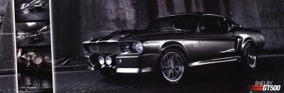 GT 500