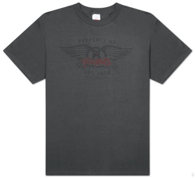 Aerosmith - Athletic Logo
