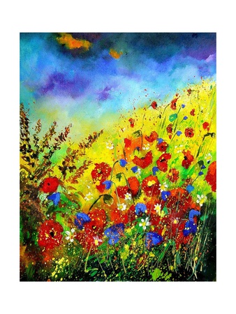 Red Poppies and Bluebells