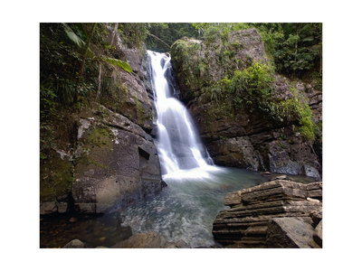 Buy La Mina Waterfall, El Yunque, Puerto Rico at AllPosters.com
