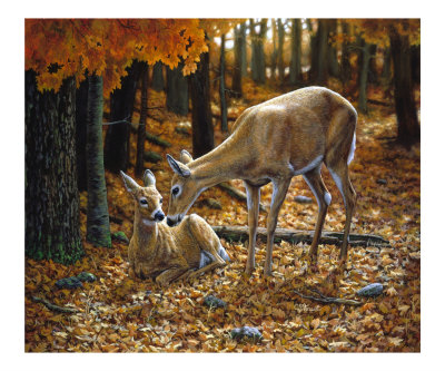 Autumn Innocence 2