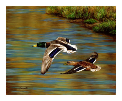 Golden Pond