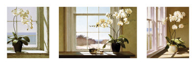 Orchid Tryptych