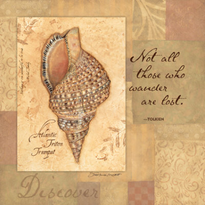 Discover, Shell