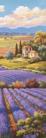 Fields of Lavender I