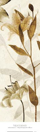 Buy Ambre Antique I at AllPosters.com