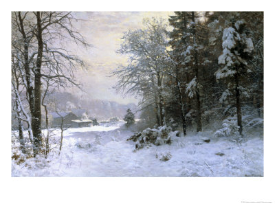 Late Lies the Winter Sun
