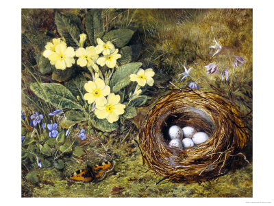 Primroses with a Bird