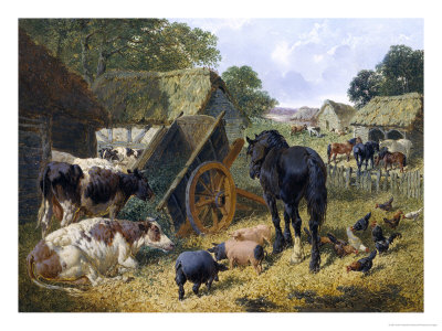 Busy Farmyard