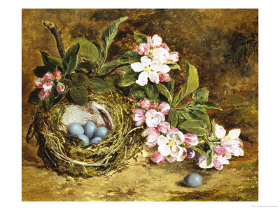 Apple Blossom and a Bird