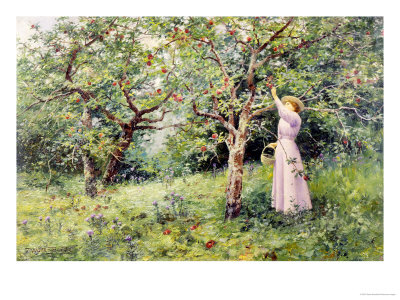 In the Orchard