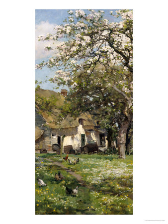 Spring in the Orchard