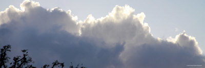Storm Clouds