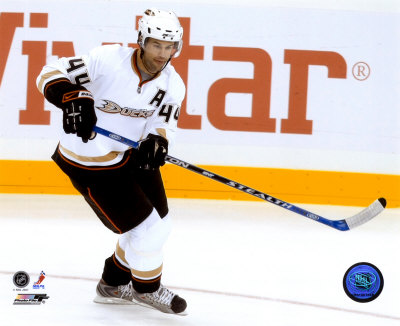 Buy Rob Niedermayer at AllPosters.com