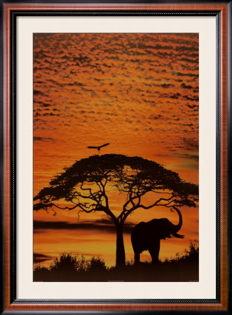 African Skies