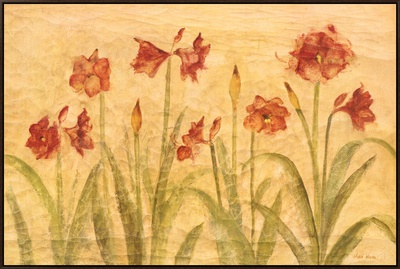 Row of Red Amaryllis