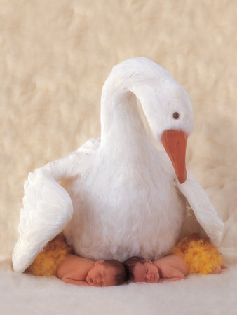 Buy Mother Goose at AllPosters.com