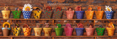 Buy Potting Shed Babies at AllPosters.com