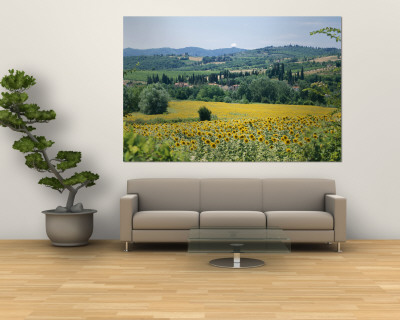 Buy Field of Sunflowers at AllPosters.com