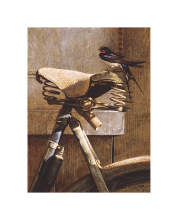 Swallow On Bicycle