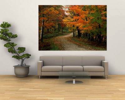 Country Road in the Fall, Vermont, USA