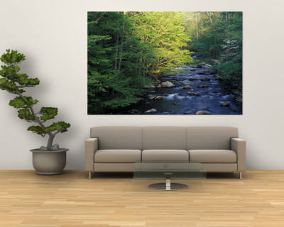 Elkmount Area, Great Smoky Mountains National Park, Tennessee, USA Posters